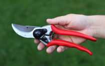 Best Pruning Shears of 2024: The 5 Best to Buy