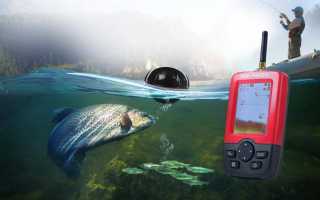Best Fish Finders of 2024: The 5 Best to Buy